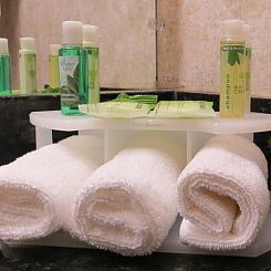 Holiday Inn Express Hotel & Suites Chicago Airport West-O'Ha