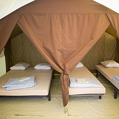 Classic Tent