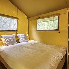 Stardust 40 Family Lodge