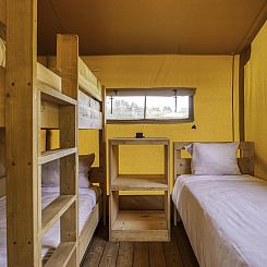 Stardust 40 Family Lodge