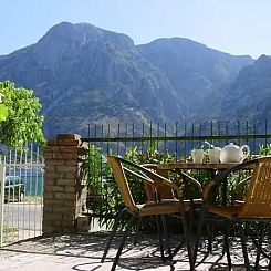 Mimosa Montenegro