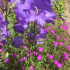 Huisje in Nohfelden-Türkismühle