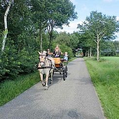 Gezellige vakantieboerderij voor 15 personen in Drenthe