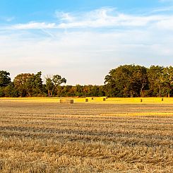 Vakantiehuis in Wapserveen