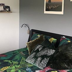 Vakantiehuisje in Dwingeloo