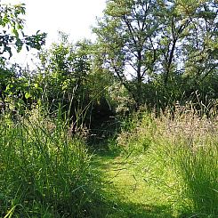 Vakantiehuisje in Hemme