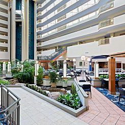 Embassy Suites Tampa - USF / Busch Gardens