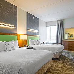 SpringHill Suites Tampa North/Tampa Palms