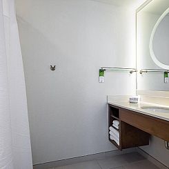 SpringHill Suites Tampa North/Tampa Palms