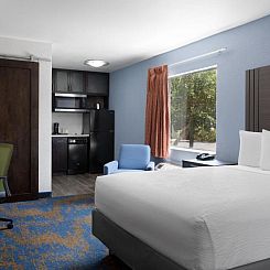 Hotel South Tampa & Suites