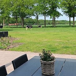 Huisje in Frederiksoord