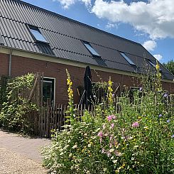 Huisje in Frederiksoord