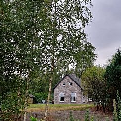 Vakantiehuisje in Oude Willem