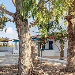 Vakantiehuis Casa Migjorn 10 pax
