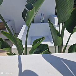 Pura Ibiza