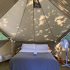 Bell Tent Plus