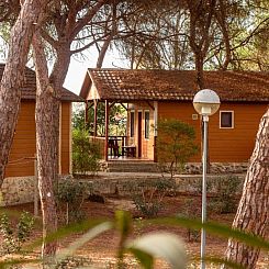 Camping Playa Las Dunas