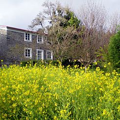 Vakantiehuis El Olivo