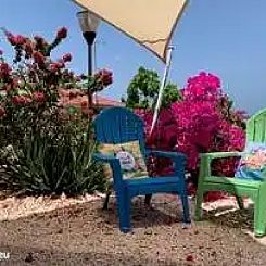 Sonrisa Curaçao, Solo