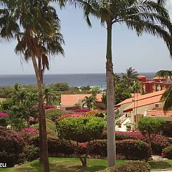 Dushipalm