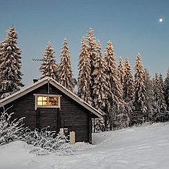 Vakantiehuis Puolukka