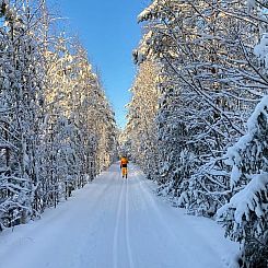 Huisje in Taipalsaari
