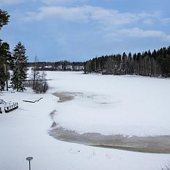 Vakantiehuis Kylpylä-hotelli, kekkosen sviitti, huone