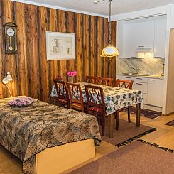 Vakantiehuis Kylpylä-hotelli, huone 448