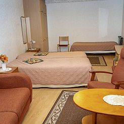 Vakantiehuis Kylpylä-hotelli, huone 242