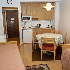 Vakantiehuis Kylpylä-hotelli, huone 242