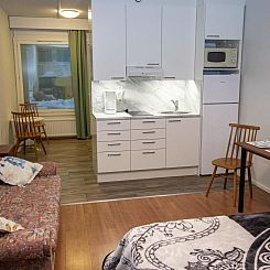 Vakantiehuis Kylpylä-hotelli, huone 152