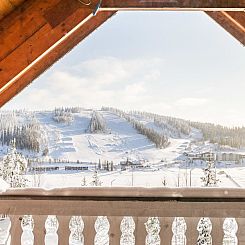 Vakantiehuis Alppikylä 3a paritalo