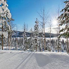Vakantiehuis Alppikylä 13b paritalo
