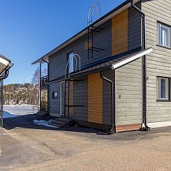 Vakantiehuis Hallan karhu b, paritalo