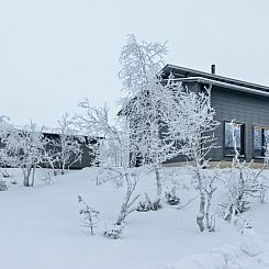 Vakantiehuis Villa viima