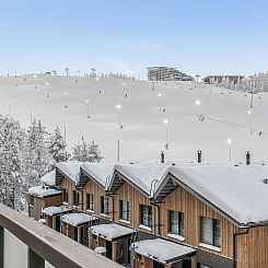 Vakantiehuis Villa jääpolte