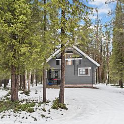 Vakantiehuis Kaltiotievantie 2 mökki 2