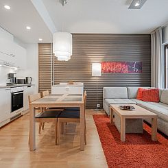 Vakantiehuis Nordic chalet 9211