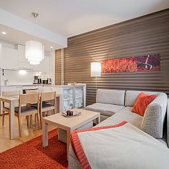 Vakantiehuis Nordic chalet 9211