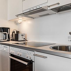 Vakantiehuis Nordic chalet 9408