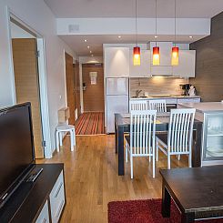 Vakantiehuis Ski chalet 6206