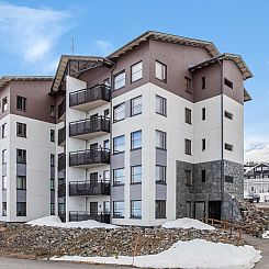 Vakantiehuis Nordic chalet 9102