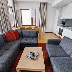 Vakantiehuis Nordic chalet 9312
