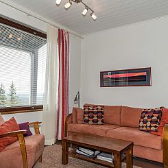 Vakantiehuis Villa ylläs 101