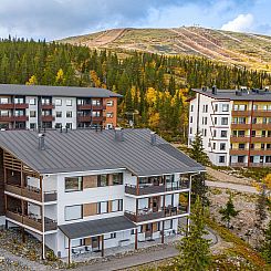Vakantiehuis Villa ylläs 203