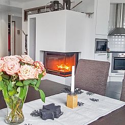 Vakantiehuis Villa ylläs 203