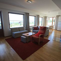 Vakantiehuis Nordic chalet 9106