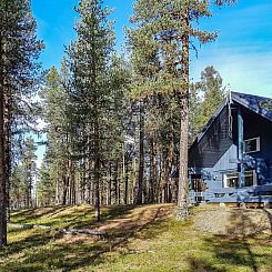 Vakantiehuis Antin mökki