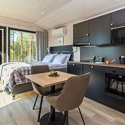 Vakantiehuis Visit pyhä cabins h