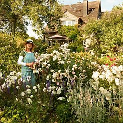 All Seasons Bed & Breakfast